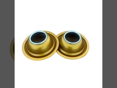 Componente de los aerosoles